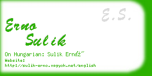 erno sulik business card